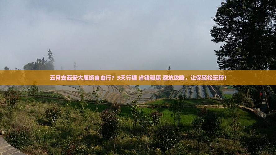 五月去西安大雁塔自由行