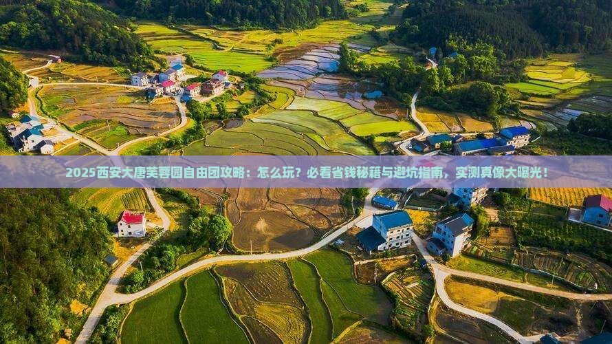 六月到西安大唐芙蓉园自由团
