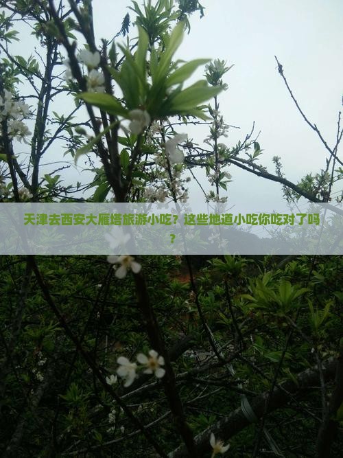 天津去西安大雁塔旅游小吃