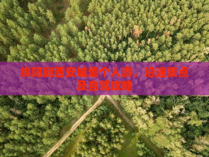绵阳到西安城墙个人游