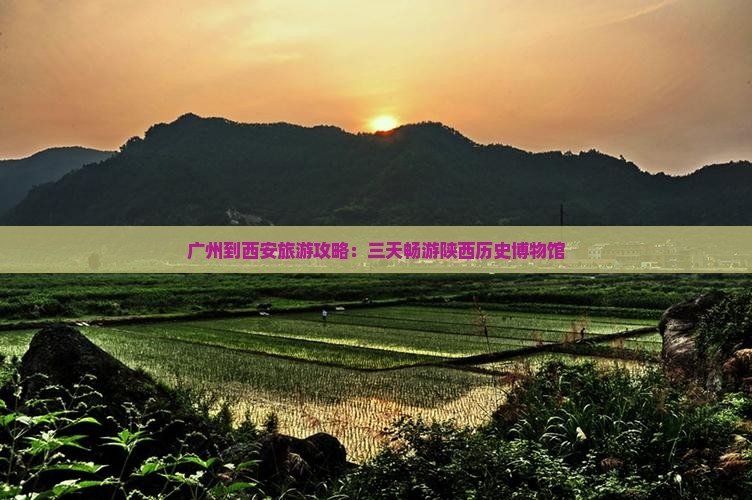 广州到西安陕西历史博物馆三日游