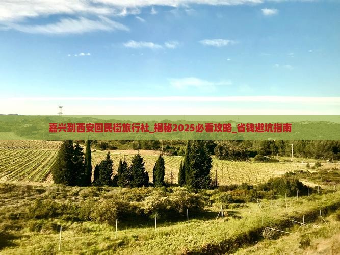 嘉兴到西安回民街旅行社