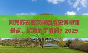 阿克苏去西安陕西历史博物馆景点