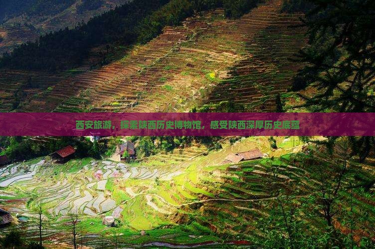 迪庆去西安陕西历史博物馆大型旅游团