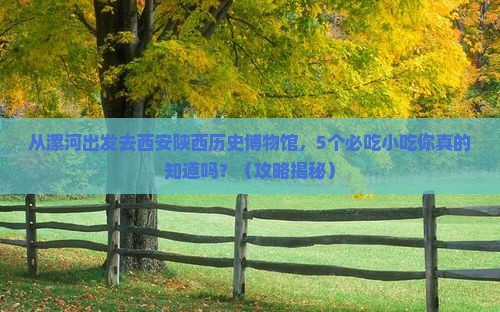 漯河去西安陕西历史博物馆旅游小吃
