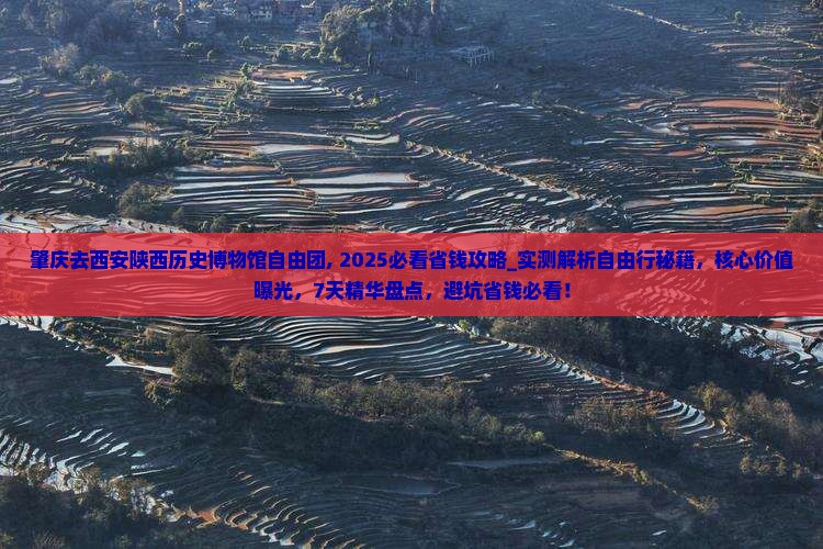 肇庆去西安陕西历史博物馆自由团