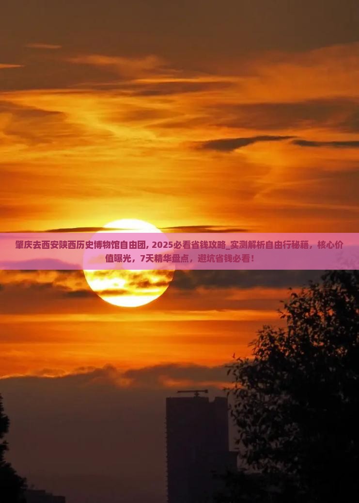 肇庆去西安陕西历史博物馆自由团