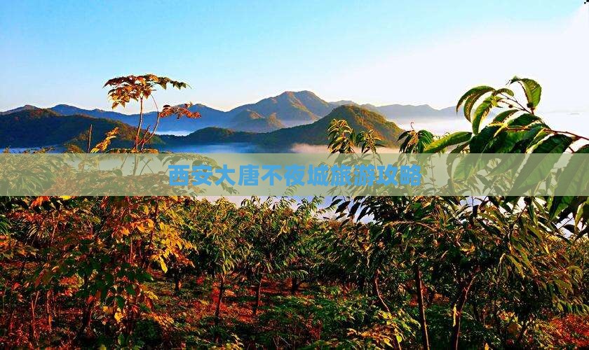 攀枝花去西安大唐不夜城攻略
