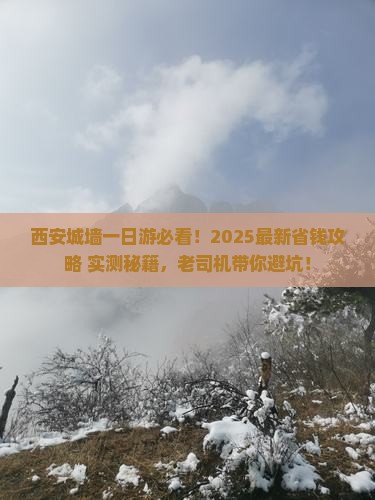常德去西安城墙旅行社