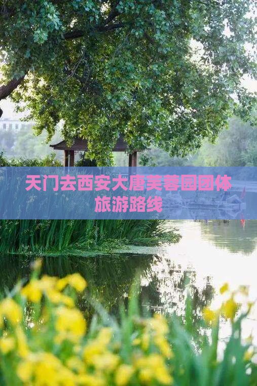 天门去西安大唐芙蓉园团体旅游