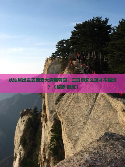 汕尾去西安大唐芙蓉园三日游