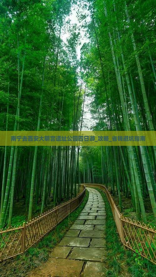 南宁去西安大明宫国家遗址公园四日游