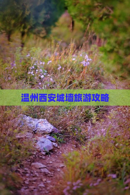 温州去西安城墙自由行