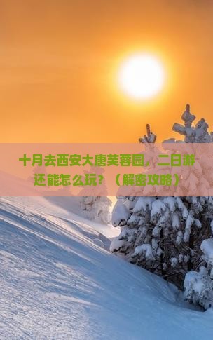 十月到西安大唐芙蓉园二日游