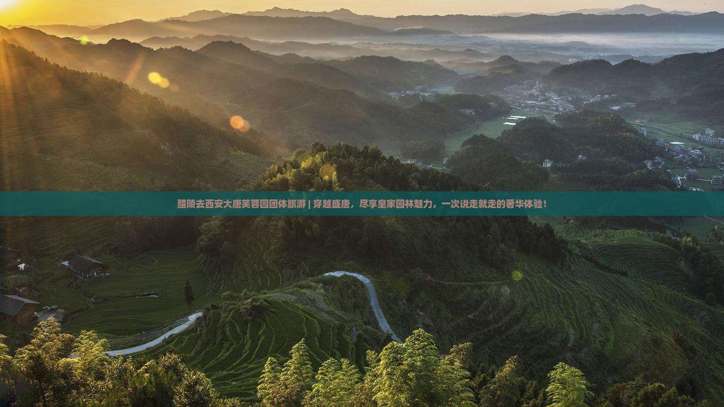醴陵去西安大唐芙蓉园团体旅游