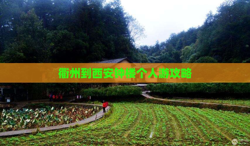 衢州到西安钟楼个人游