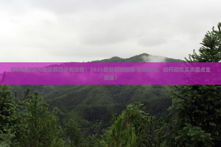 郴州去西安大唐芙蓉园景点