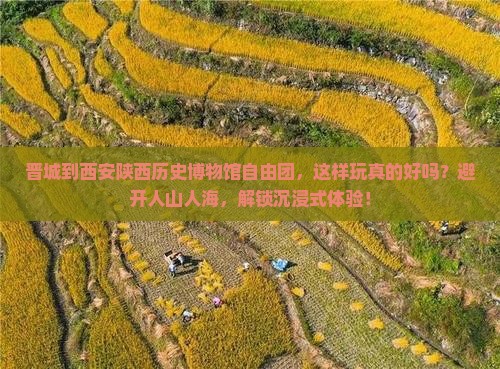 晋城到西安陕西历史博物馆自由团