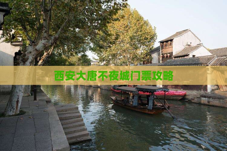 滁州去西安大唐不夜城门票