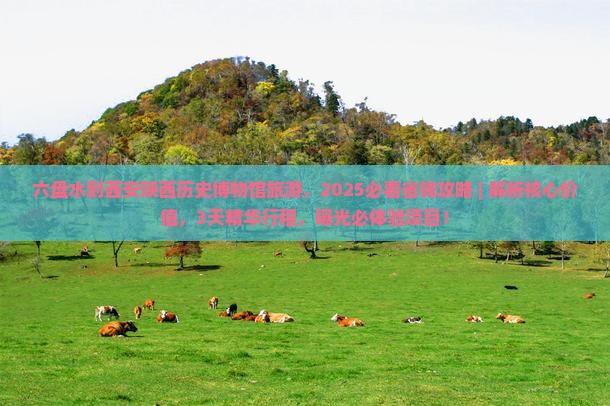 六盘水到西安陕西历史博物馆旅游