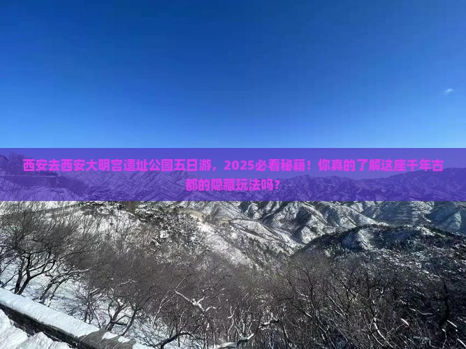 西安去西安大明宫国家遗址公园五日游