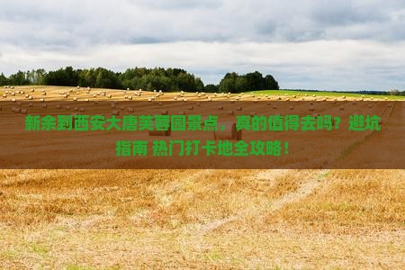 新余到西安大唐芙蓉园景点 新余到西安大唐芙蓉园景点