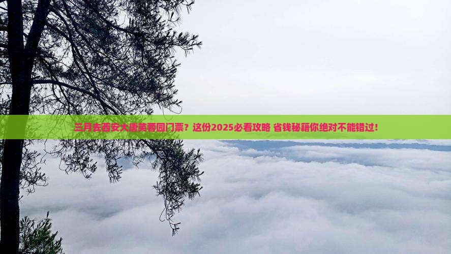 三月去西安大唐芙蓉园门票