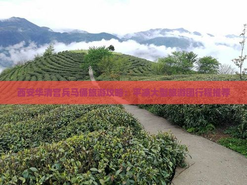 平凉到西安华清宫大型旅游团