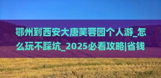 鄂州到西安大唐芙蓉园个人游