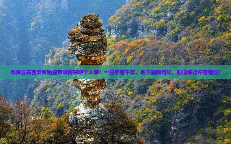 鄢陵县去西安秦始皇帝陵博物院个人游