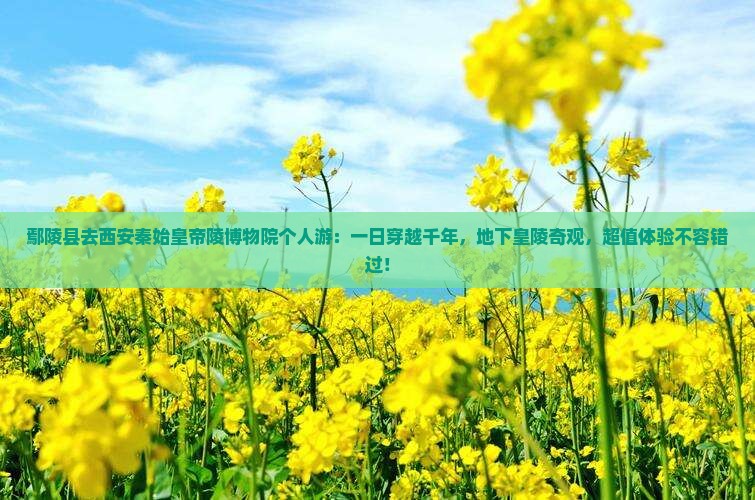 鄢陵县去西安秦始皇帝陵博物院个人游