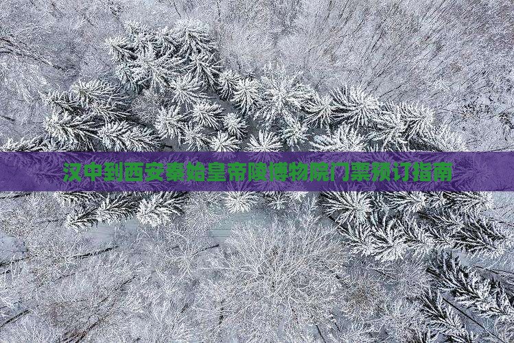 汉中到西安秦始皇帝陵博物院门票