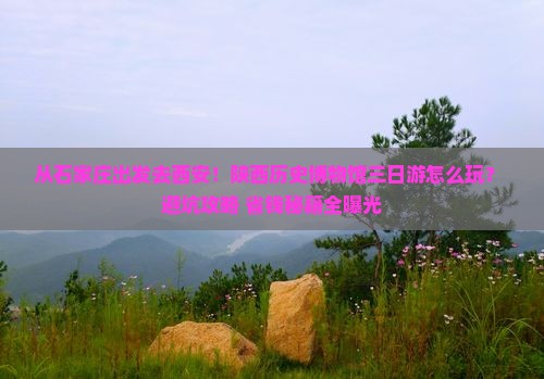 石家庄去西安陕西历史博物馆三日游
