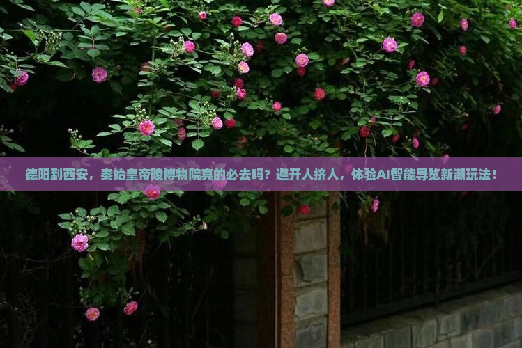 德阳到西安秦始皇帝陵博物院必去地