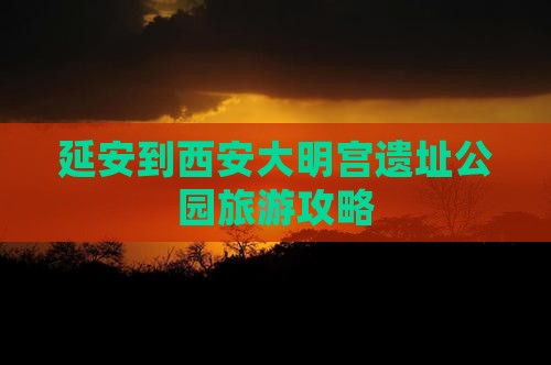 延安到西安大明宫国家遗址公园旅游