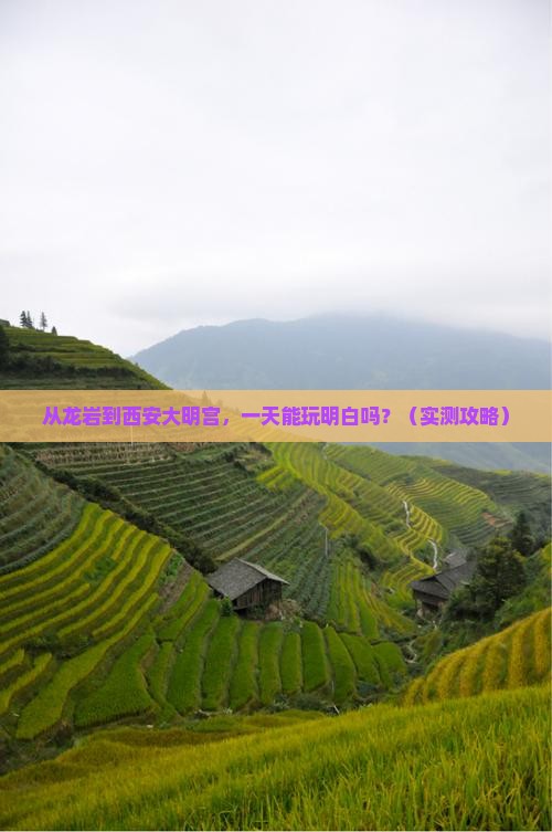 龙岩去西安大明宫国家遗址公园一日游