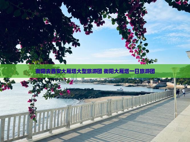 衡阳去西安大雁塔大型旅游团