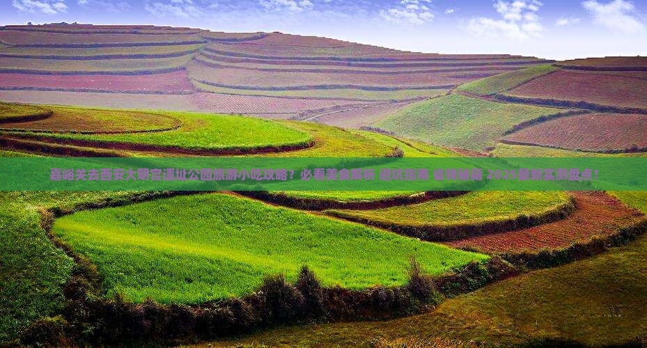 嘉峪关去西安大明宫国家遗址公园旅游小吃