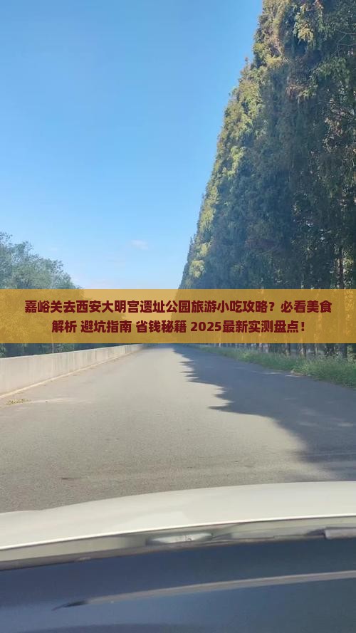 嘉峪关去西安大明宫国家遗址公园旅游小吃