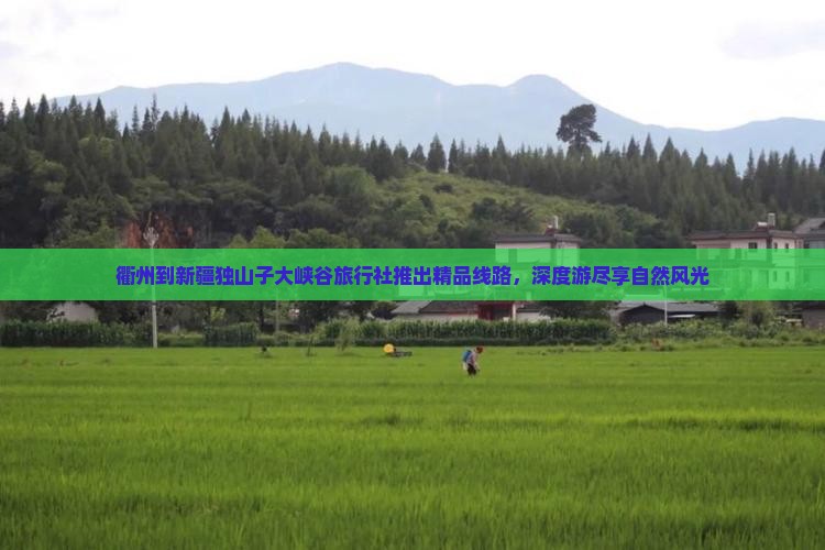 衢州到新疆独山子大峡谷旅行社
