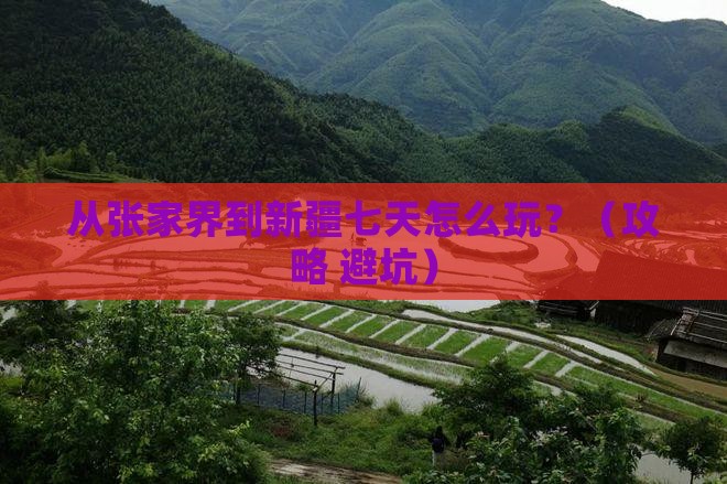 张家界去新疆七日游