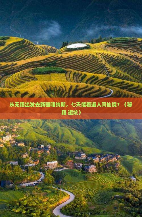无锡去新疆喀纳斯七日游