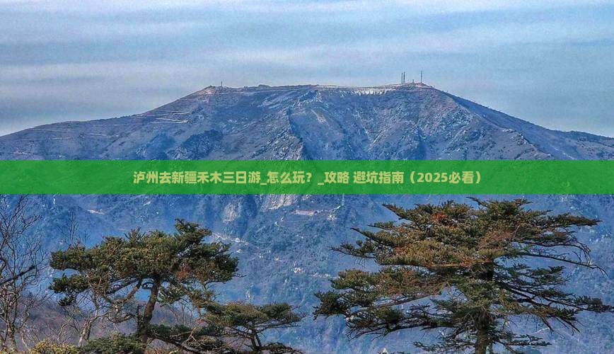 泸州去新疆禾木三日游