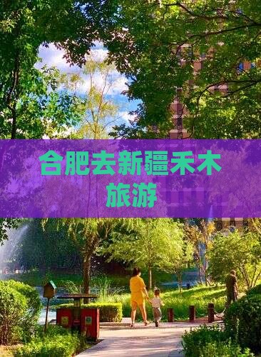 合肥去新疆禾木旅游