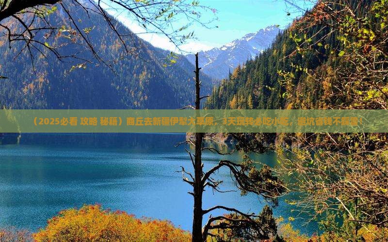 商丘到新疆伊犁大草原旅游小吃
