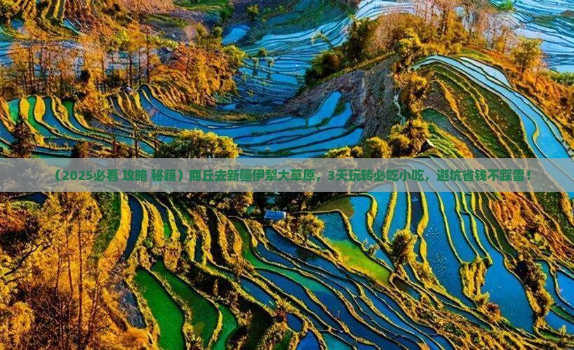 商丘到新疆伊犁大草原旅游小吃