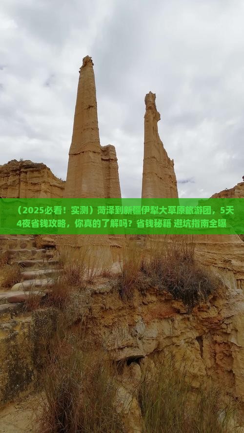 菏泽到新疆伊犁大草原大型旅游团