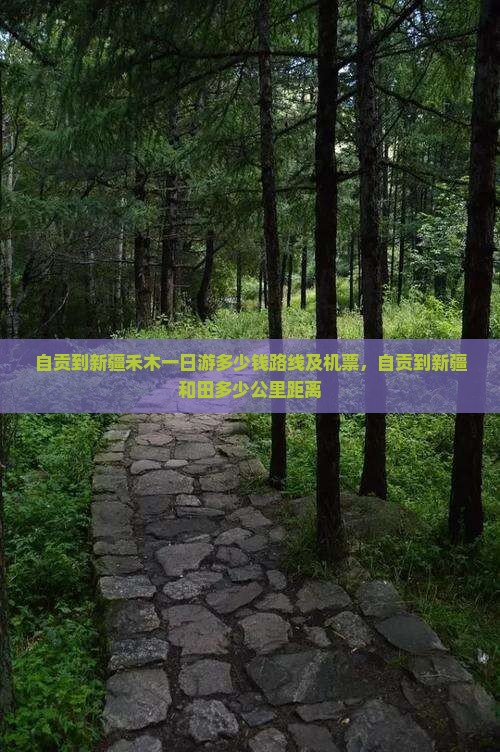 自贡到新疆禾木一日