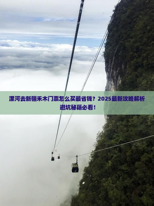 漯河去新疆禾木门票
