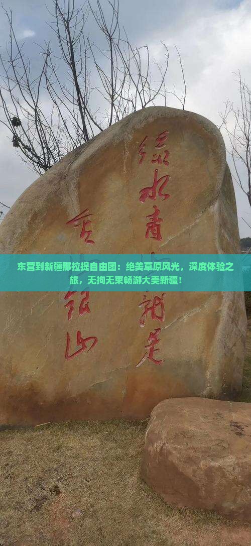 东营到新疆那拉提自由团